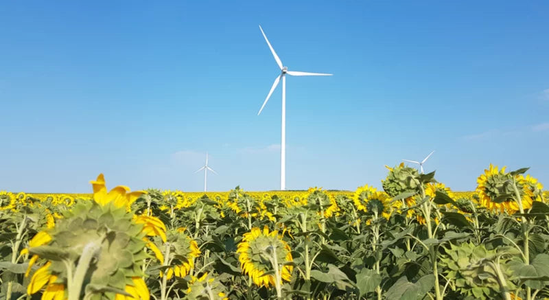 Vestas V163-4.5 MW™ Onshore Wind Turbine