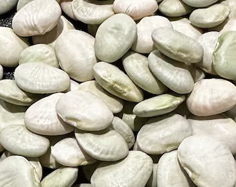 Early Thorogreen Drying Bean Seeds online shopping