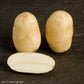 Shepody Potato online shopping