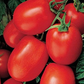 Optimax Roma Tomato