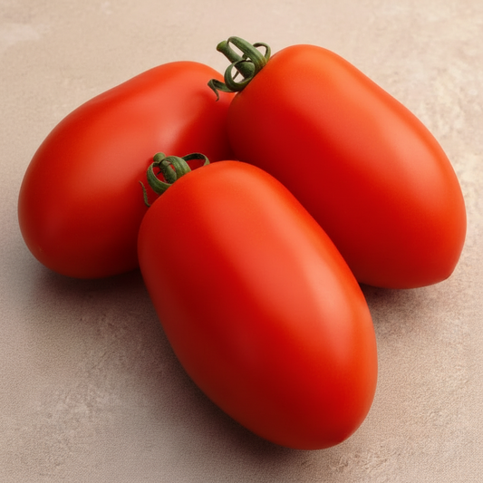 Optimax Roma Tomato Seeds online shopping