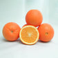 Gillette Navel Orange Budwood citrus plant material online shopping