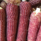 Pink Popcorn Corn