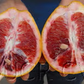 Valentine Pummelo Hybrid Budwood citrus plant material online shopping