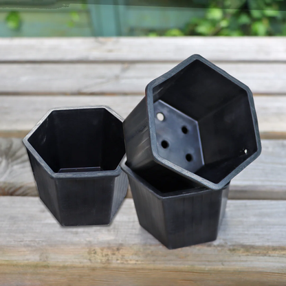 hexagonal plastic plant pots PlasticFreeGardening Natural Rubber Hexagonal Plant Pot – EVERGREEN