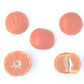 Temple x Dancy Mandarin Hybrid Budwood citrus plant material online shopping