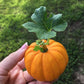 Jack Be Little Pumpkin