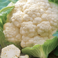 Walcheren Winter Cauliflower