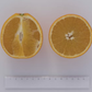 Pehrson #3 Valencia Orange Budwood citrus plant material online shopping