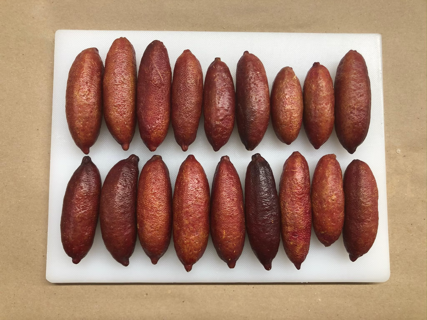 Pink Sunset Australian Finger Lime Budwood citrus plant material online shopping