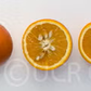 Delfino Blood Orange Budwood citrus plant material online shopping