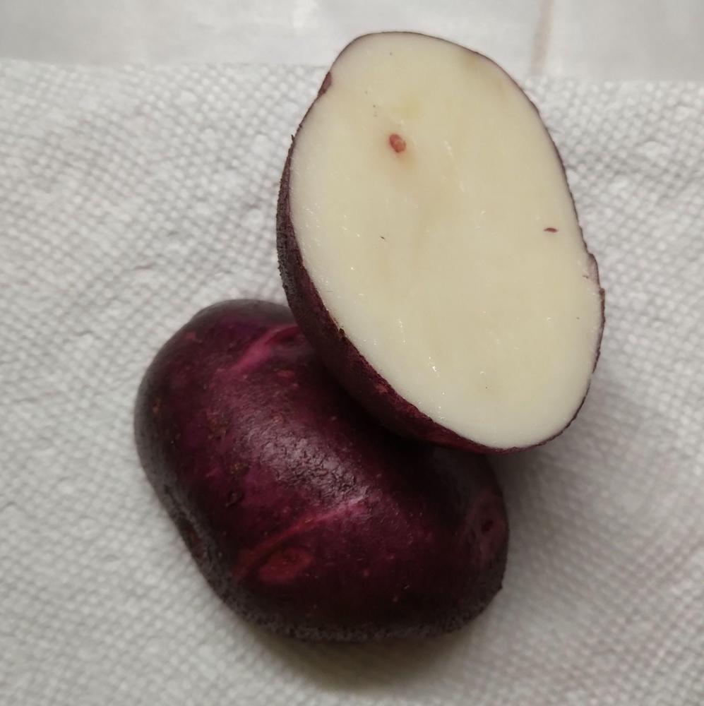 Purple Viking Seed Potato online shopping
