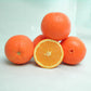 Eddy Navel Orange Budwood citrus plant material online shopping
