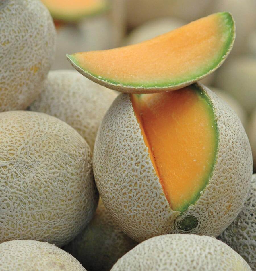 Home Run F1 Melon