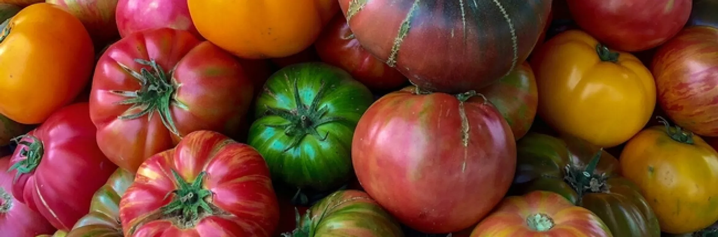 Grodan Elite Slab Tomato Cultivation Rock Wool Hydroponics Substrate