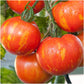 Red Zebra Tomato