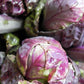 Red Ball Brussels Sprout