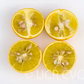 C-35 Citrange Trifoliate Hybrid Budwood citrus plant material online shopping