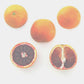 Bream Tarocco Blood Orange Budwood citrus plant material online shopping