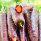 Cosmic Purple Carrot