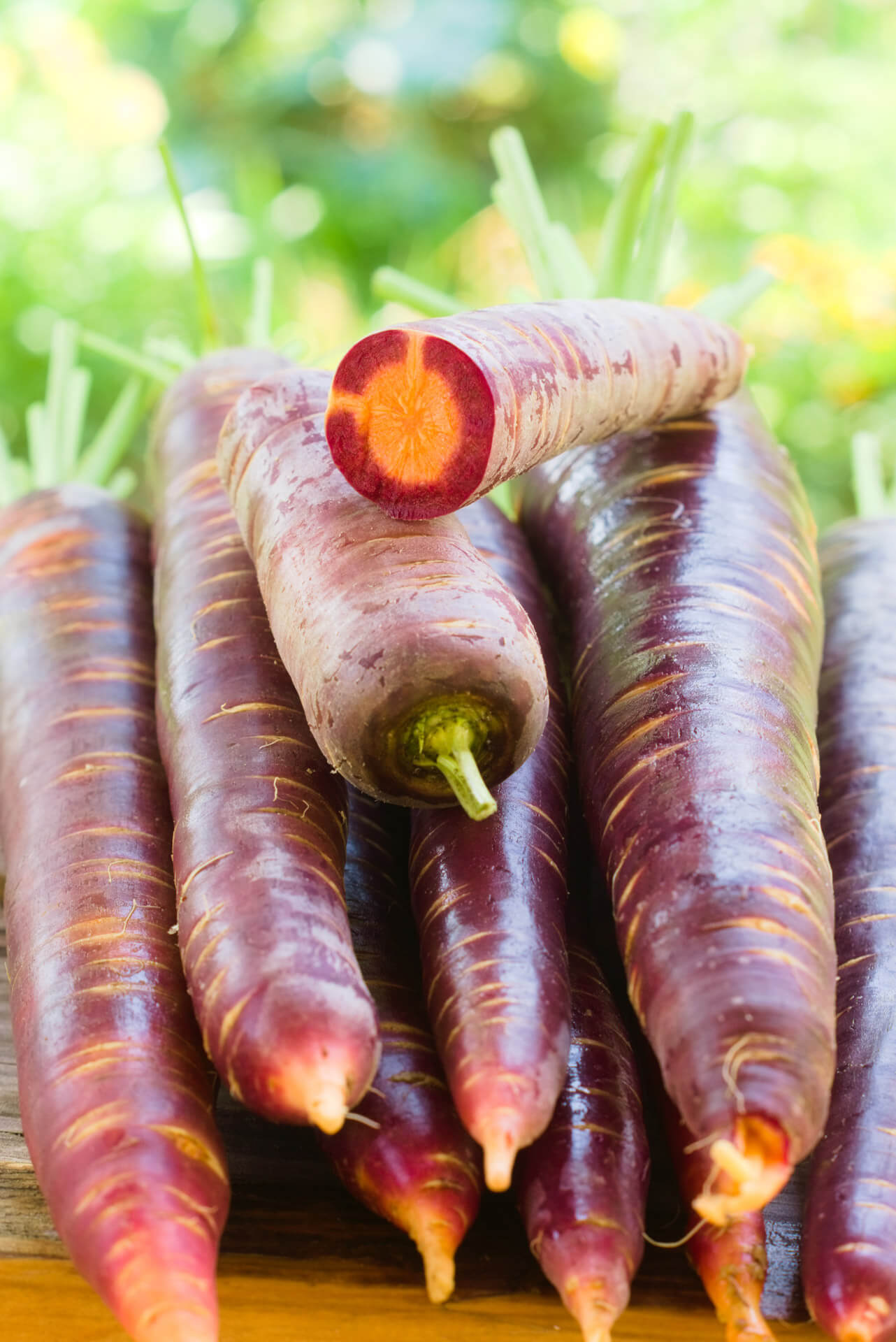 Cosmic Purple Carrot