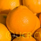 Frost Owari Satsuma Mandarin Budwood citrus plant material online shopping