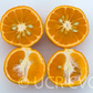 Kara Mandarin Budwood citrus plant material online shopping