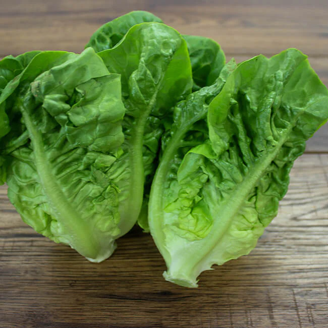 Little Gem Romaine Lettuce