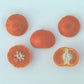 Encore Mandarin Budwood citrus plant material online shopping