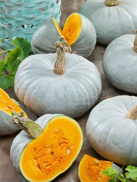 Mint Prince F1 Pumpkin Seeds online shopping