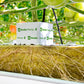 Grodan GT Master® Slab Vegetable Growing Rock Wool Hydroponics Substrate