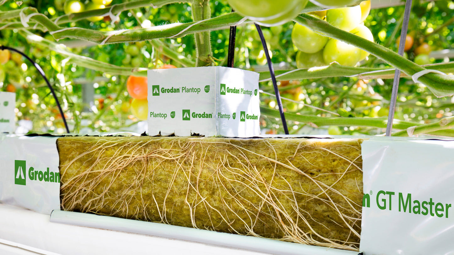 Grodan GT Master® Slab Vegetable Growing Rock Wool Hydroponics Substrate