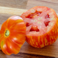 Get Stuffed Organic Tomato