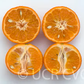 Fremont Mandarin Plant citrus plant material online shopping