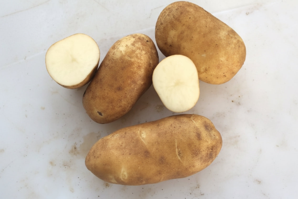 Butte Seed Potato online shopping