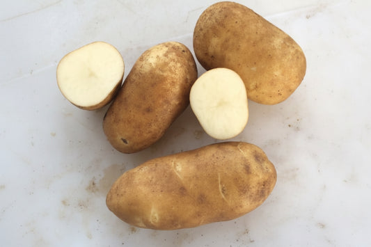 Butte Seed Potato online shopping
