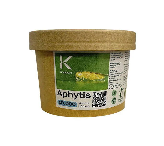 Aphytis Parasitic Wasp