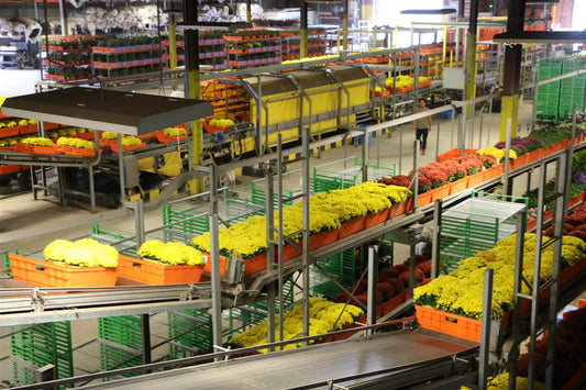 Viscon Buffering & Shipping Internal Transport Automation