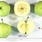 Yellow Transparent Heirloom Earliest Ripening Apple Plant