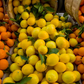 Improved Meyer Lemon Budwood citrus plant material online shopping