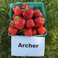 Archer June Bearing Strawberry