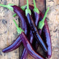 Fingerling Long Purple Aubergine