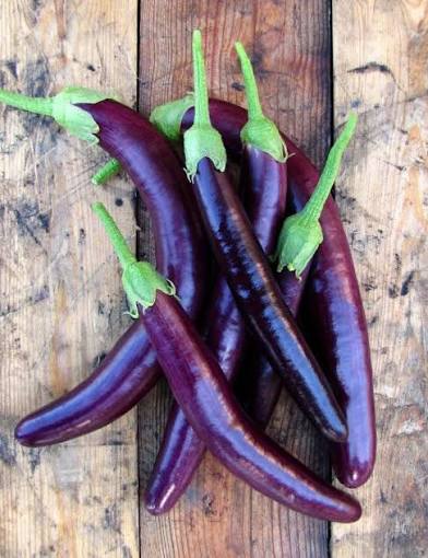 Fingerling Long Purple Aubergine