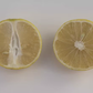 Palestine Sweet Lime Budwood citrus plant material online shopping