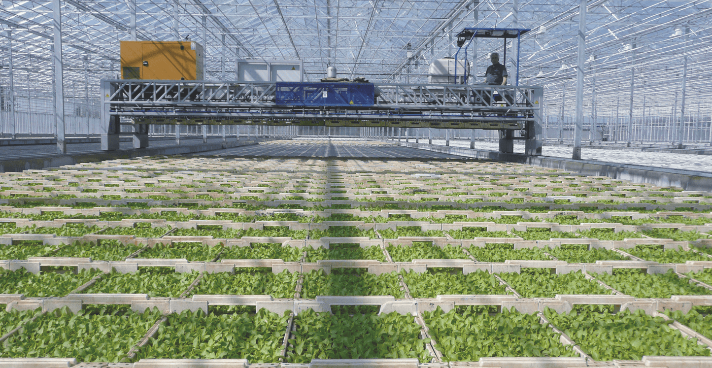 Viscon XY Greenhouse Internal Transport