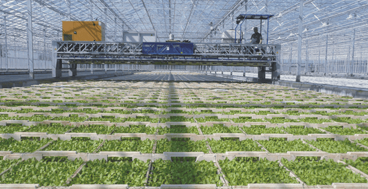 Viscon XY Greenhouse Internal Transport