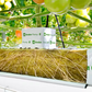 Grodan Plantop Block Propagation Rock Wool Hydroponics Substrate