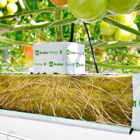 Grodan Plantop Block Propagation Rock Wool Hydroponics Substrate