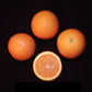 Midknight Valencia Orange Budwood citrus plant material online shopping
