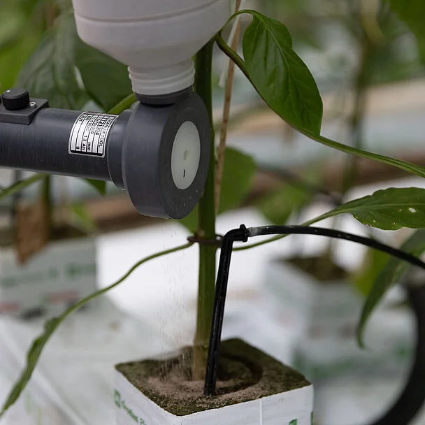 Natutec Trianum G Dosage Tool and Beneficial Organism Applicator